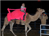 person riding a camel