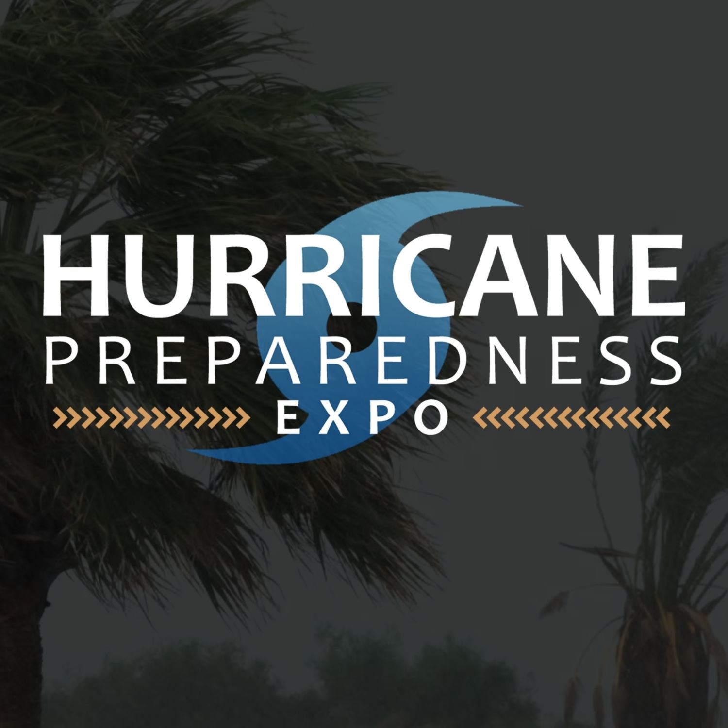 Hurricane Preparedness Expo Tile