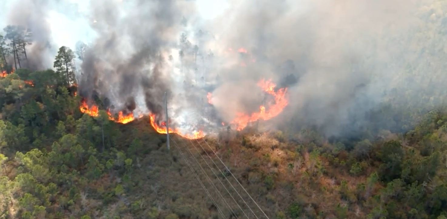 Gulf State Park Fire 3